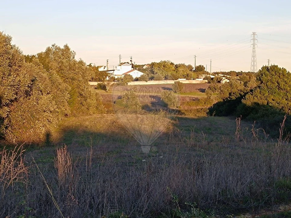 Terreno para Venda em Cartaxo e Vale da Pinta Foto 4