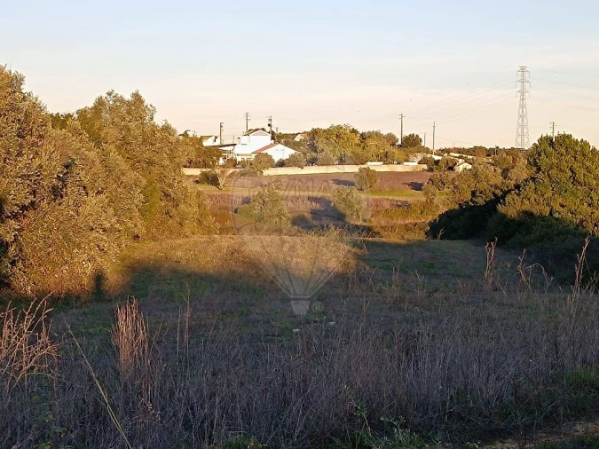 Terreno para Venda em Cartaxo e Vale da Pinta Foto 4