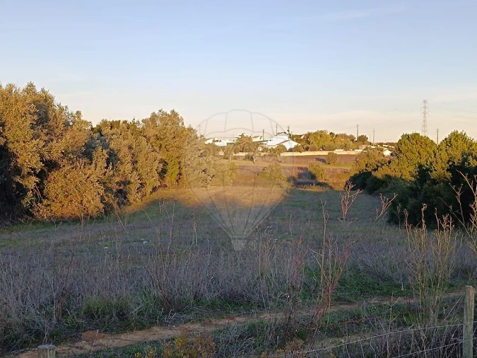 Terreno para Venda em Cartaxo e Vale da Pinta Foto 7