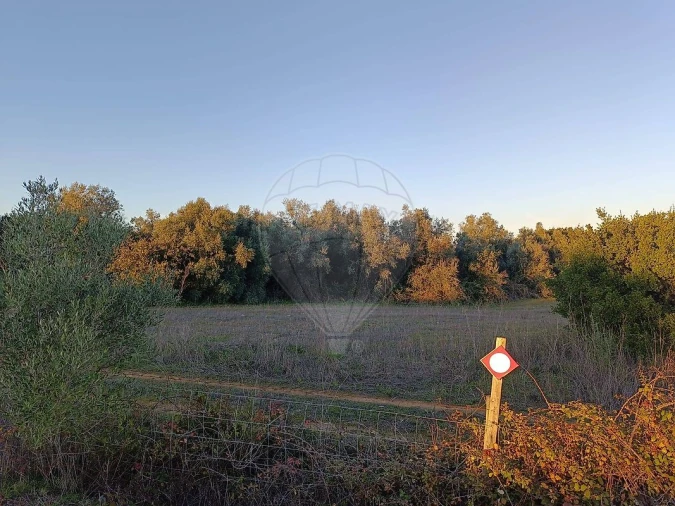 Terreno para Venda em Cartaxo e Vale da Pinta Foto 5