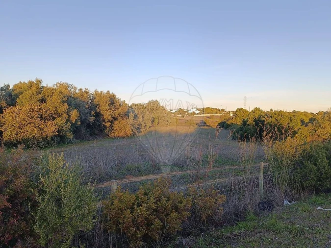 Terreno para Venda em Cartaxo e Vale da Pinta Foto 2