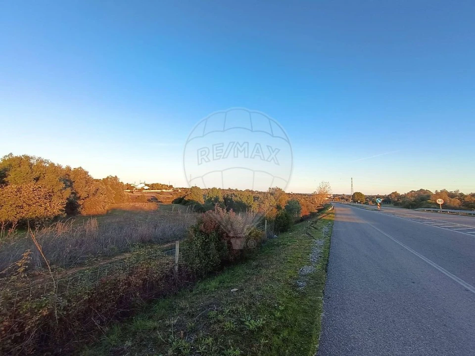 Terreno para Venda em Cartaxo e Vale da Pinta Foto 1