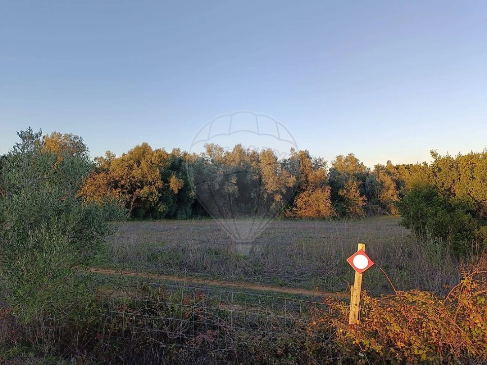Terreno para Venda em Cartaxo e Vale da Pinta Foto 5