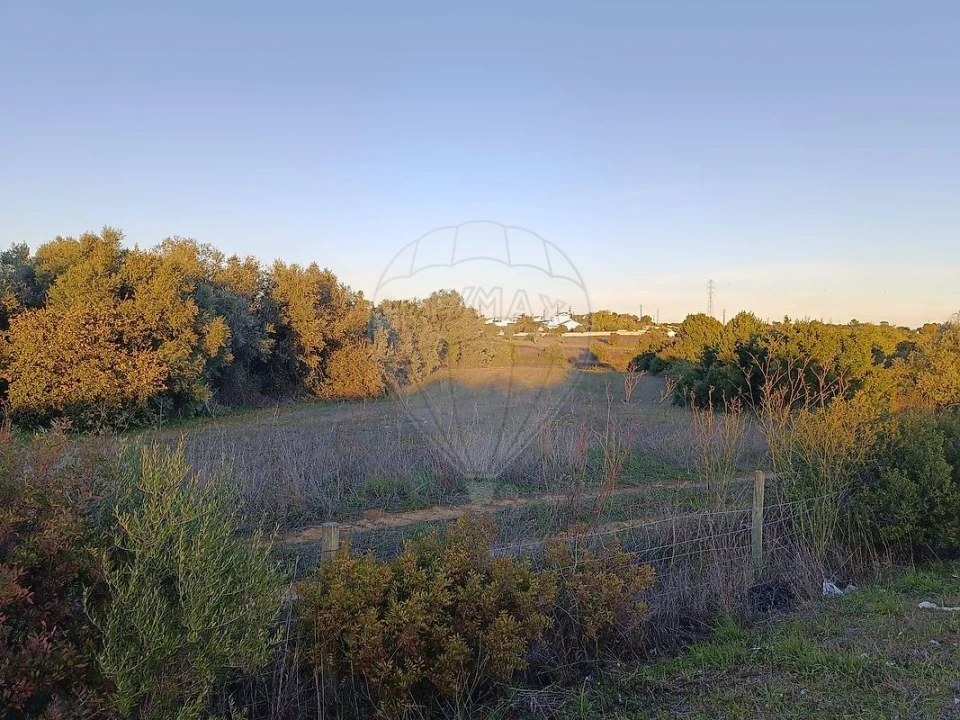 Terreno para Venda em Cartaxo e Vale da Pinta Foto 2