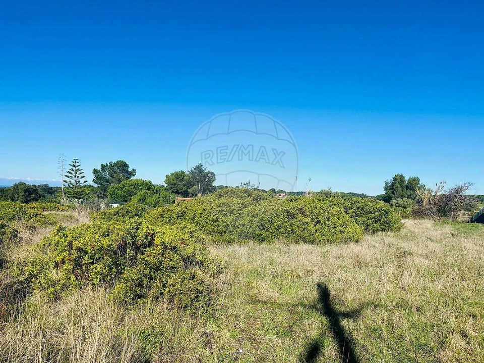 Terreno para Venda em Santa Maria e São Miguel, São Martinho, São Pedro Penaferrim Foto 13