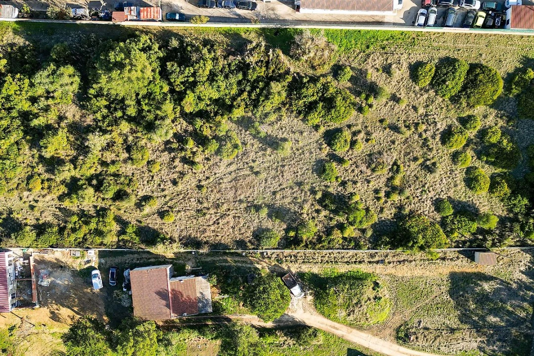 Terreno para Venda em Santa Maria e São Miguel, São Martinho, São Pedro Penaferrim Foto 5