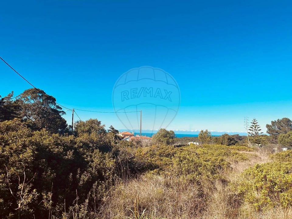 Terreno para Venda em Santa Maria e São Miguel, São Martinho, São Pedro Penaferrim Foto 9
