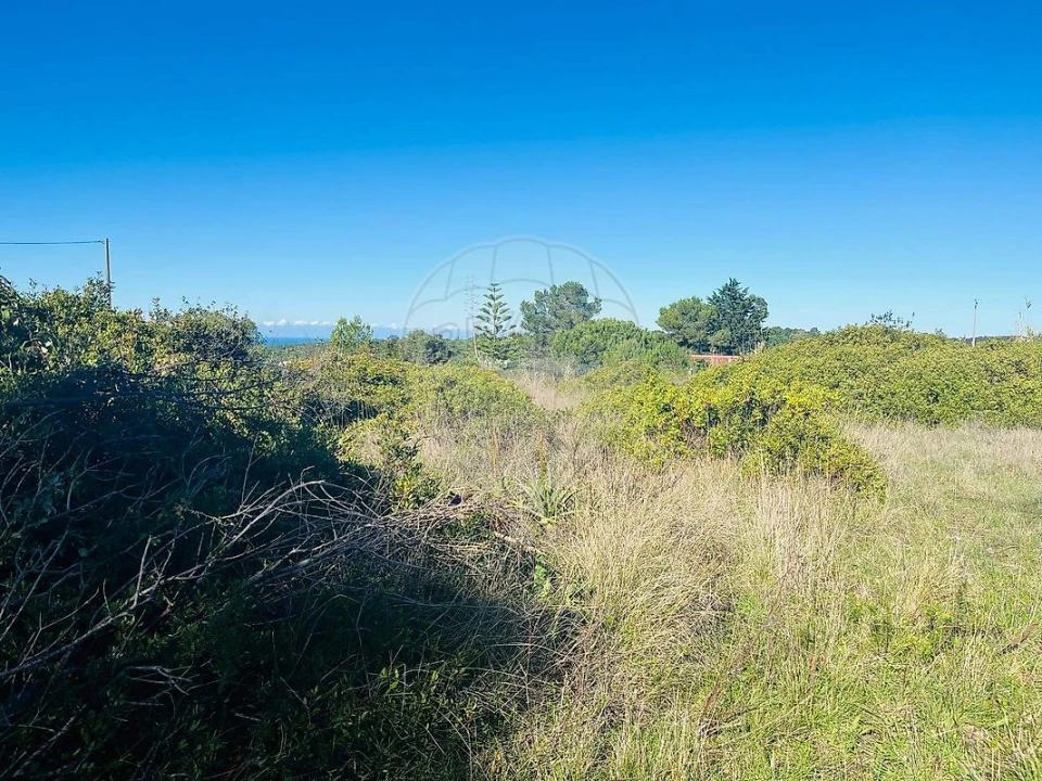 Terreno para Venda em Santa Maria e São Miguel, São Martinho, São Pedro Penaferrim Foto 11