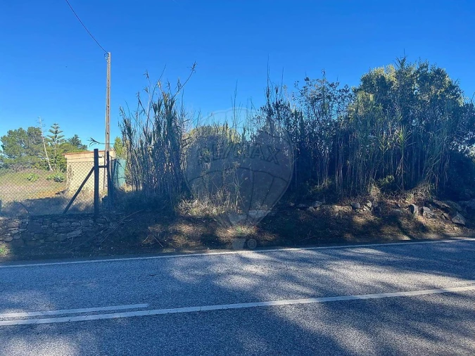Terreno para Venda em Santa Maria e São Miguel, São Martinho, São Pedro Penaferrim Foto 6
