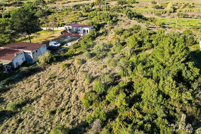 Terreno para Venda em Santa Maria e São Miguel, São Martinho, São Pedro Penaferrim Foto 4