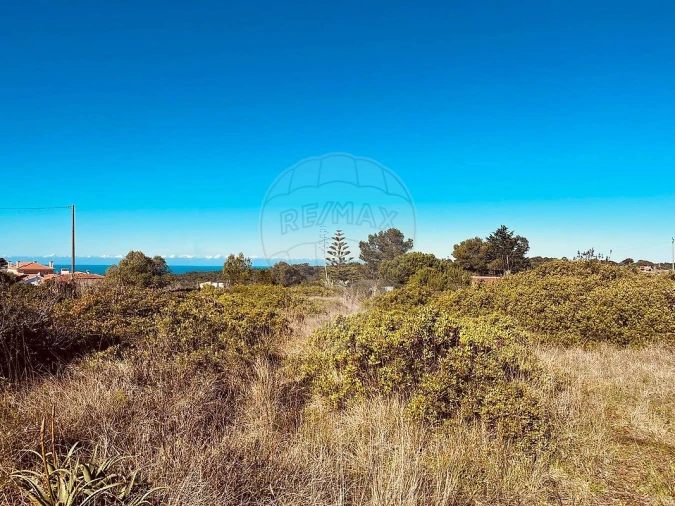 Terreno para Venda em Santa Maria e São Miguel, São Martinho, São Pedro Penaferrim Foto 11