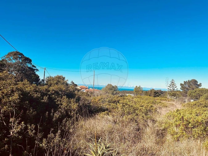 Terreno para Venda em Santa Maria e São Miguel, São Martinho, São Pedro Penaferrim Foto 8