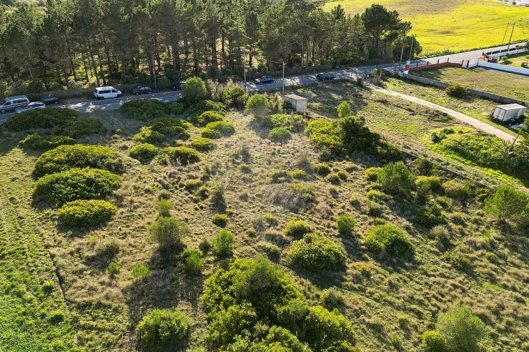 Terreno para Venda em Santa Maria e São Miguel, São Martinho, São Pedro Penaferrim Foto 3
