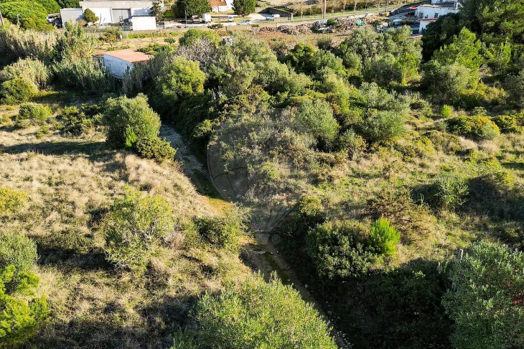 Terreno para Venda em Santa Maria e São Miguel, São Martinho, São Pedro Penaferrim Foto 7