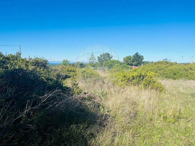 Terreno para Venda em Santa Maria e São Miguel, São Martinho, São Pedro Penaferrim Foto 10