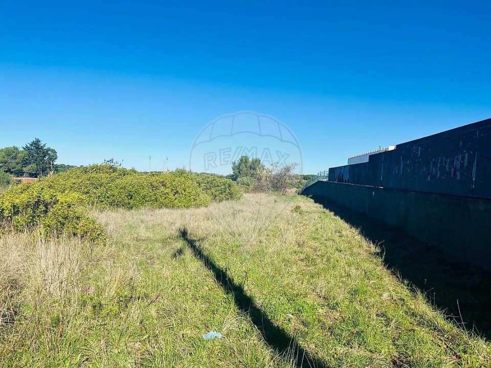 Terreno para Venda em Santa Maria e São Miguel, São Martinho, São Pedro Penaferrim Foto 7