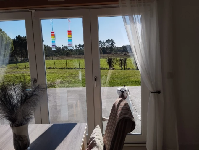 Moradia T3 para Venda em Monte Redondo e Carreira Foto 16