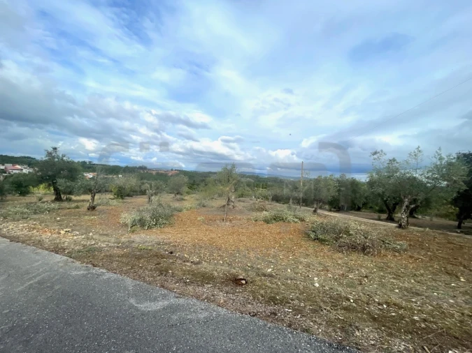 Terreno para Venda em Além da Ribeira e Pedreira