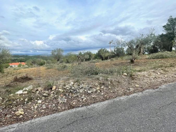 Terreno para Venda em Além da Ribeira e Pedreira Foto 4