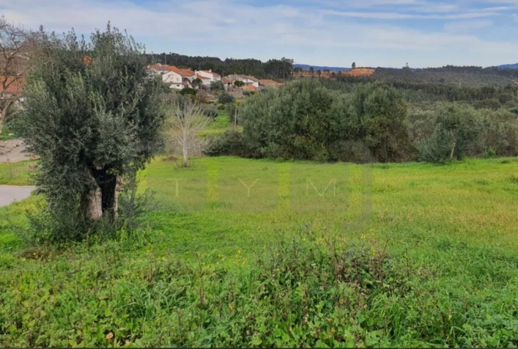 Terreno para Venda em Além da Ribeira e Pedreira Foto 5