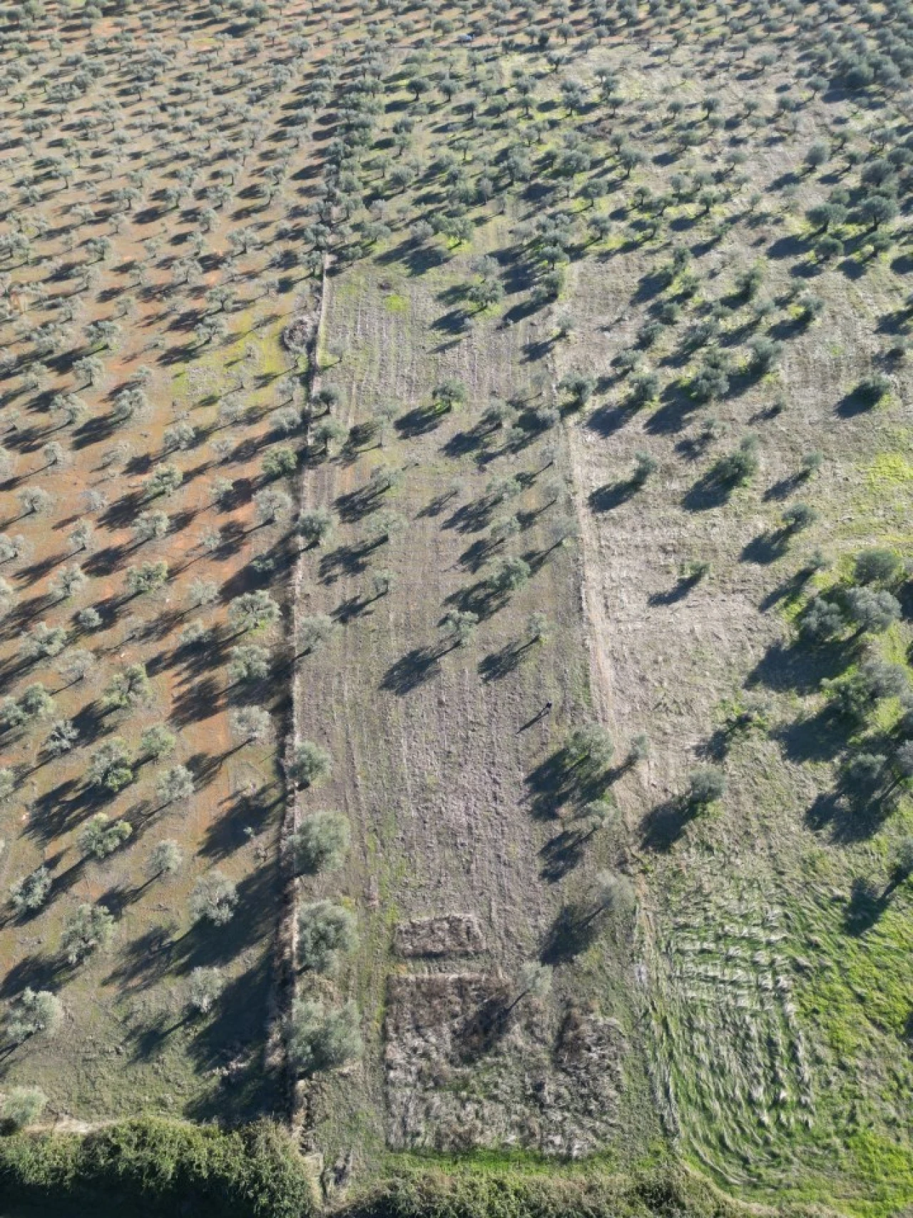Terreno Agricola ou Rústico para Venda em São Bras e São Lourenço Foto 7
