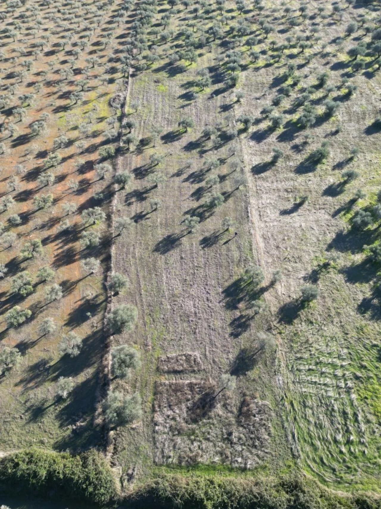 Terreno Agricola ou Rústico para Venda em São Bras e São Lourenço Foto 2