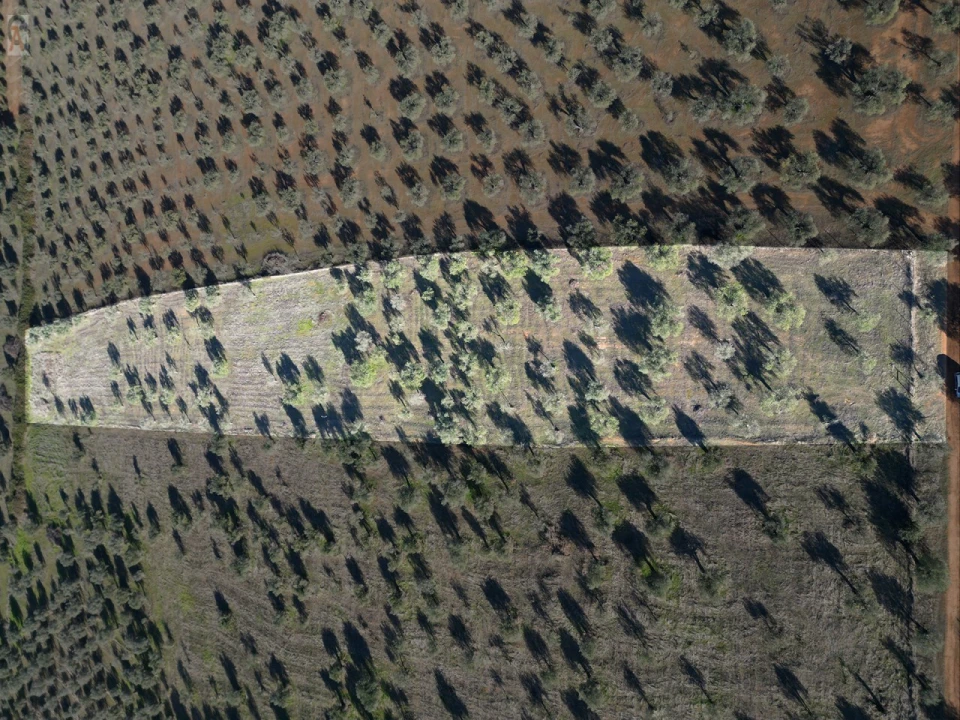 Terreno Agricola ou Rústico para Venda em São Bras e São Lourenço Foto 3