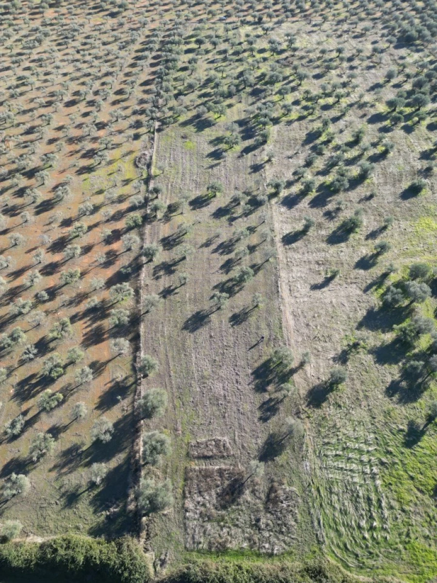 Terreno Agricola ou Rústico para Venda em São Bras e São Lourenço Foto 7
