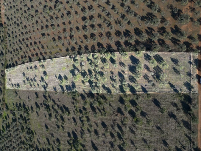 Terreno Agricola ou Rústico para Venda em São Bras e São Lourenço Foto 3