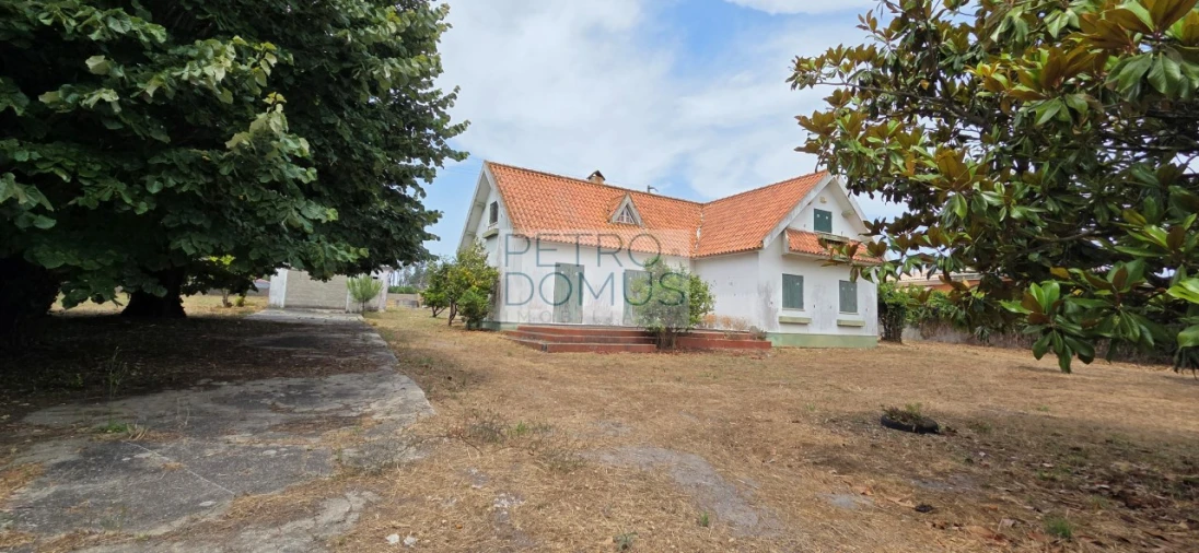 Terreno para Venda em Marinha Grande Foto 6