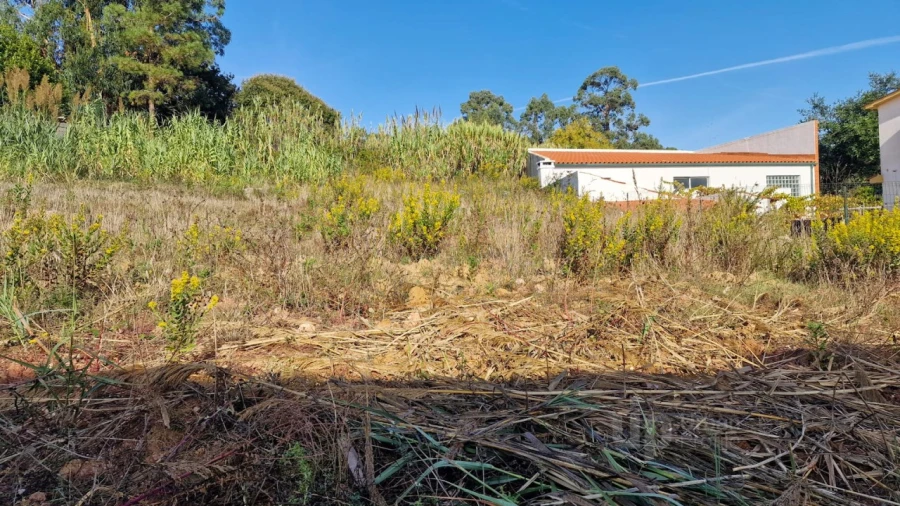 Moradia T3 para Venda em Famalicão Foto 26