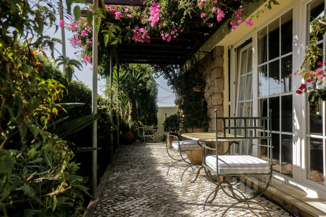 Moradia T3 para Venda em Colares Foto 8