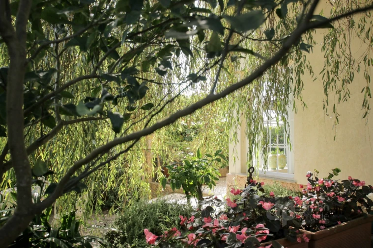 Moradia T3 para Venda em Colares Foto 29