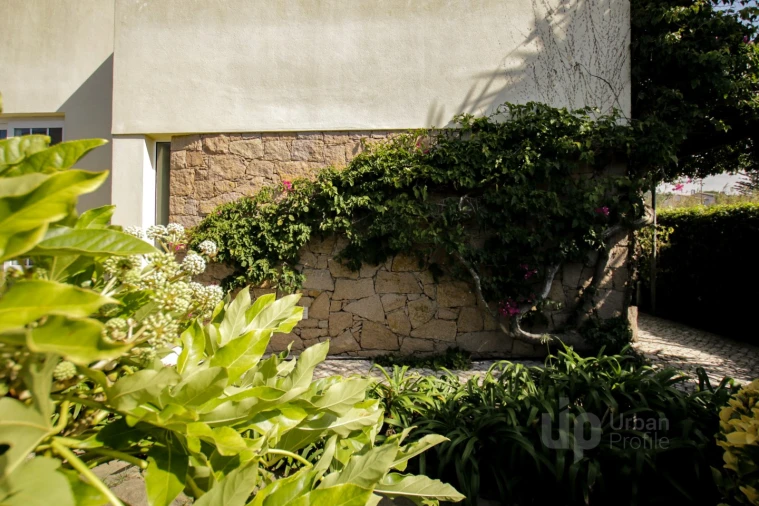 Moradia T3 para Venda em Colares Foto 52