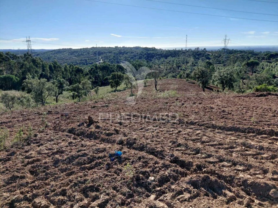 Quinta para Venda em São Francisco da Serra Foto 16