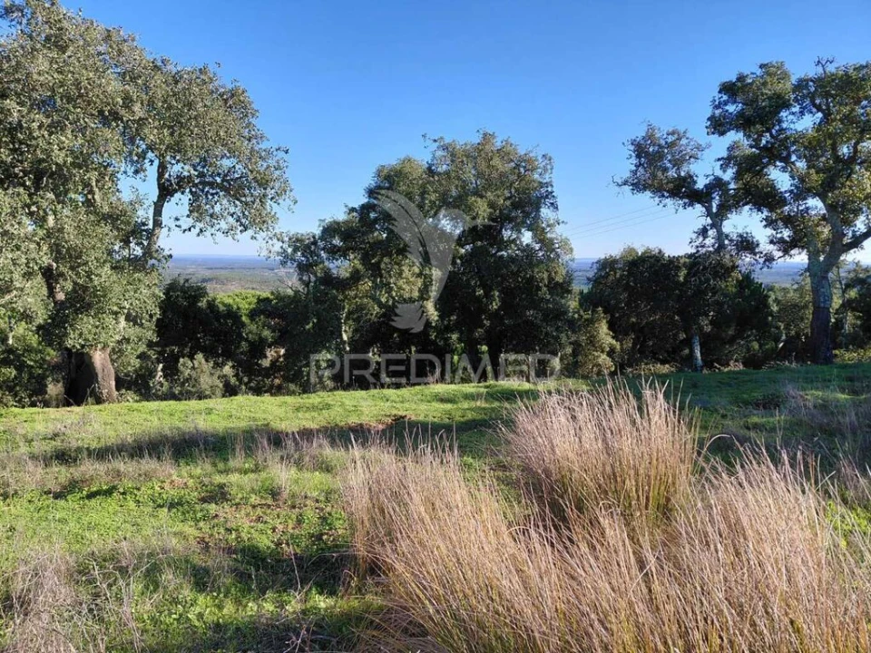 Quinta para Venda em São Francisco da Serra Foto 18