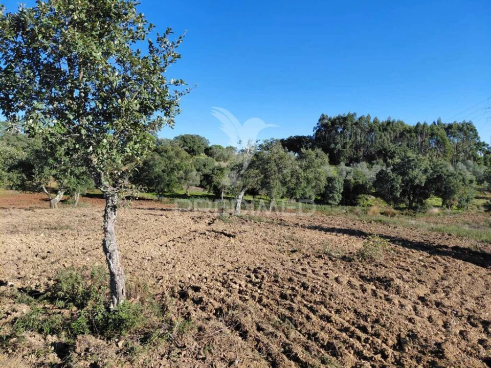 Quinta para Venda em São Francisco da Serra Foto 17