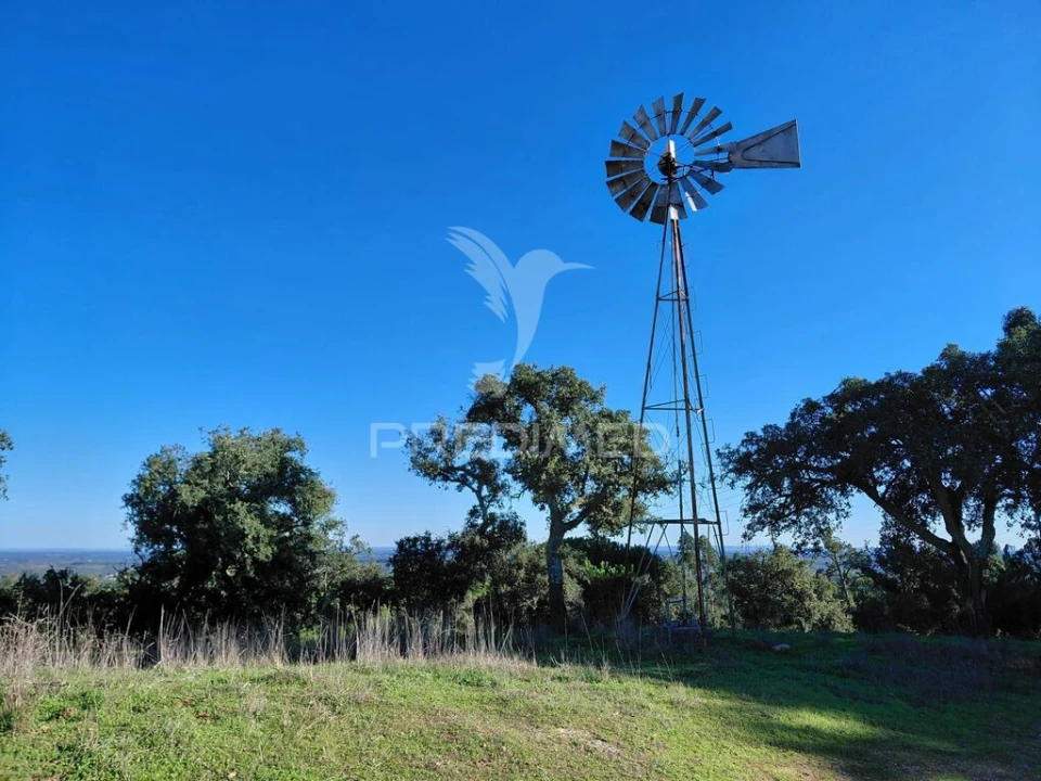 Quinta para Venda em São Francisco da Serra Foto 9