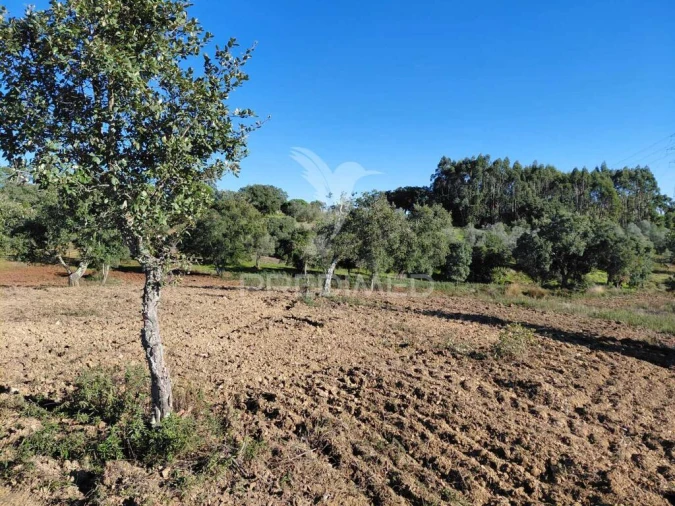 Quinta para Venda em São Francisco da Serra Foto 17