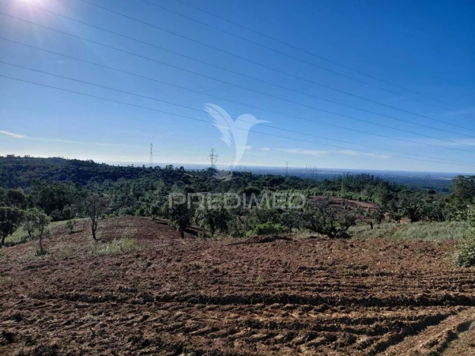 Quinta para Venda em São Francisco da Serra Foto 12
