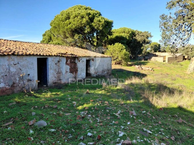 Quinta para Venda em São Francisco da Serra Foto 4