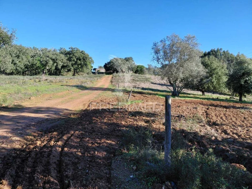 Quinta para Venda em São Francisco da Serra Foto 14