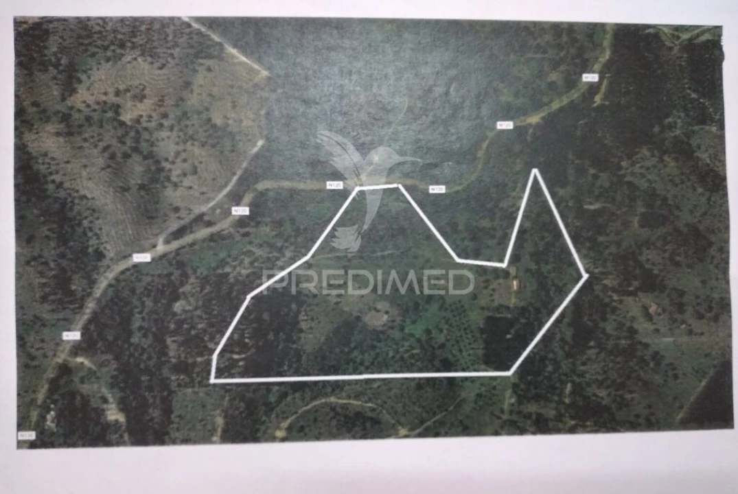 Quinta para Venda em São Francisco da Serra Foto 20