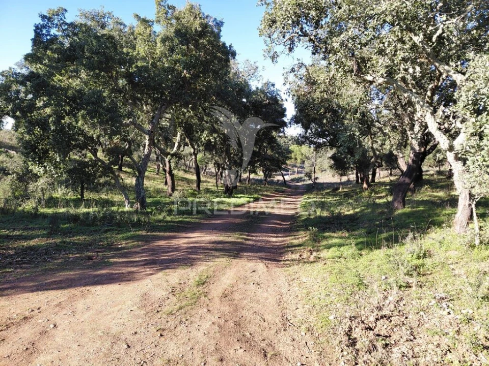 Quinta para Venda em São Francisco da Serra Foto 8