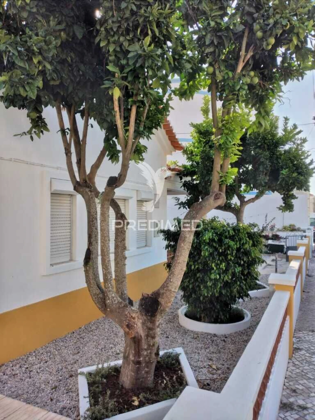 Moradia T2 para Venda em São Francisco da Serra Foto 14