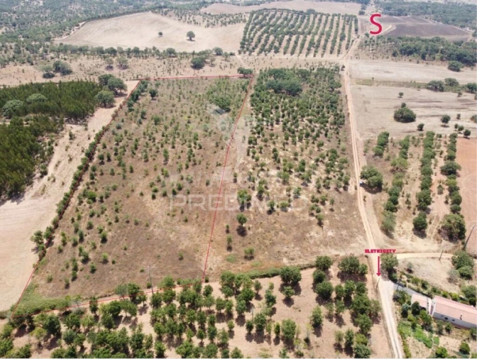 Terreno para Venda em Cercal Foto 2