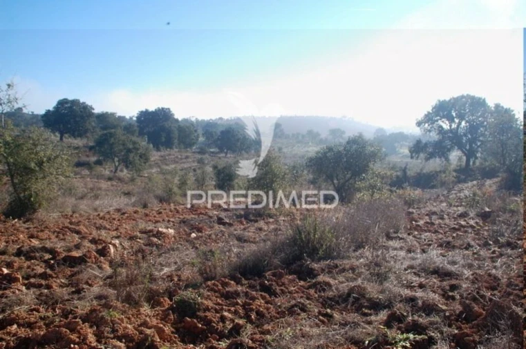 Terreno para Venda em Cercal Foto 5