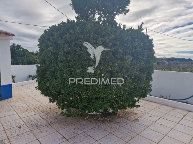 Quinta T7 para Venda em Grândola e Santa Margarida da Serra Foto 3