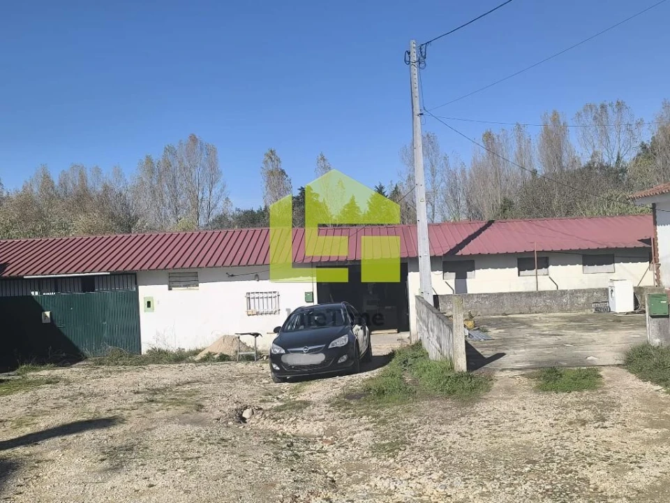 Prédio para Venda em Condeixa-A-Velha e Condeixa-A-Nova Foto 6