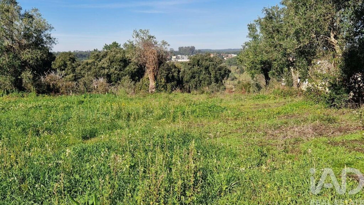 Terreno para Venda em Batalha Foto 18